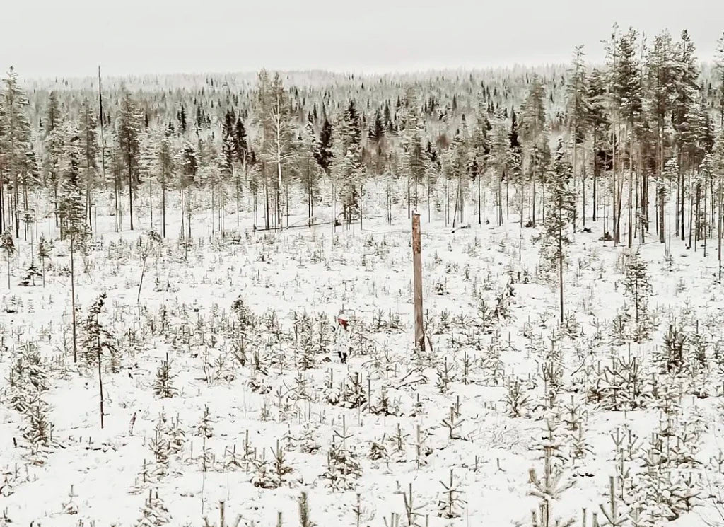 Naruska lumicamo metsästyspuku