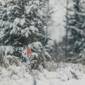 Naruska lumipuku talvipuku metsästyspuku lumicamo